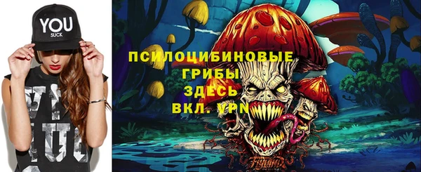 PSILOCYBIN Алексин