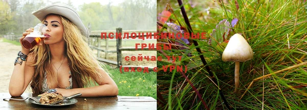 PSILOCYBIN Алексин