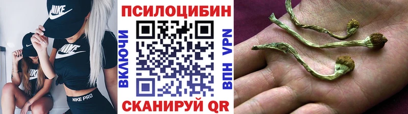 Псилоцибиновые грибы ЛСД  мега рабочий сайт  Малаховка  наркошоп 