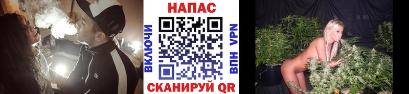 продажа наркотиков Малаховка Марихуана тримм